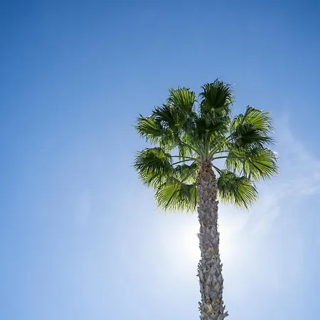 Cenuela - Lush Haven By United Renters *