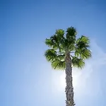Cenuela - Lush Haven By United Renters *