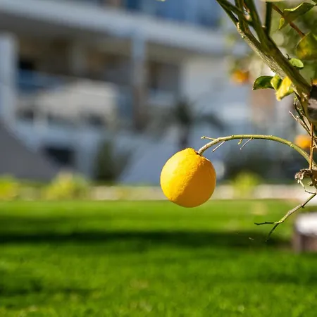 Cenuela - Lush Haven By United Renters Lejlighed Torrevieja