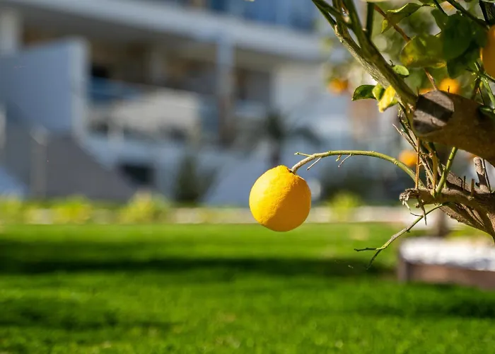 Ceñuela - Lush Haven By United Renters Apartamento Torrevieja